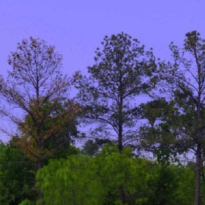 威尼斯澳门人(亚洲)第一品牌